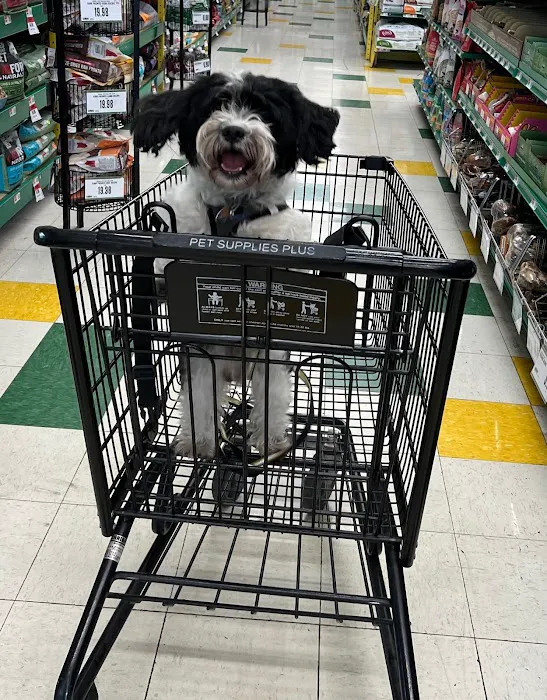 Pet Supplies Plus Bolingbrook Picture 8