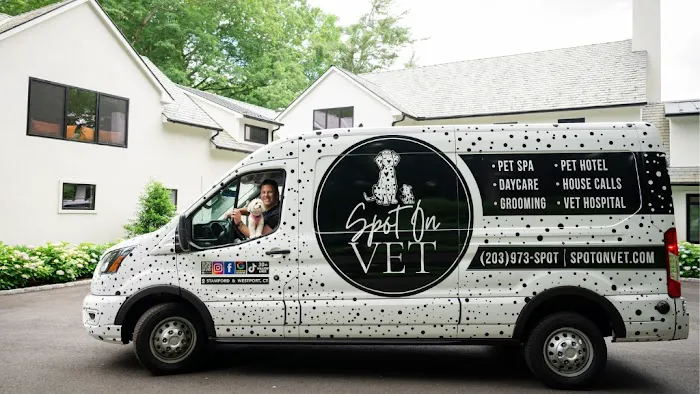 Spot On Veterinary Hospital - Westport Picture 8