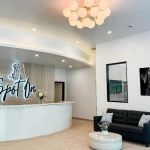 Spot On Veterinary Hospital - Westport