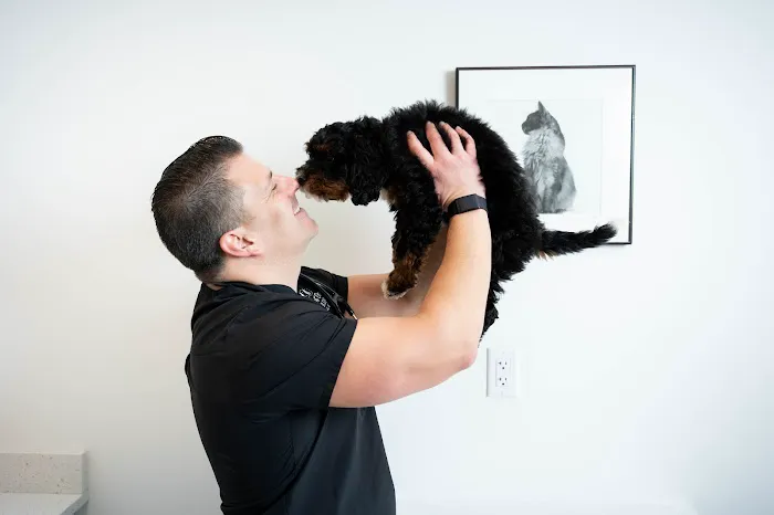 Spot On Veterinary Hospital - Westport Picture 7