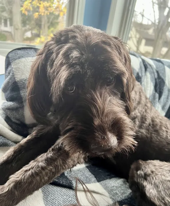 Kriser's Natural Pet Picture 7