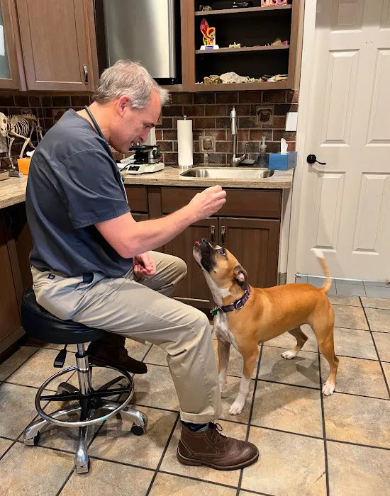 Mahopac Animal Hospital Picture 8