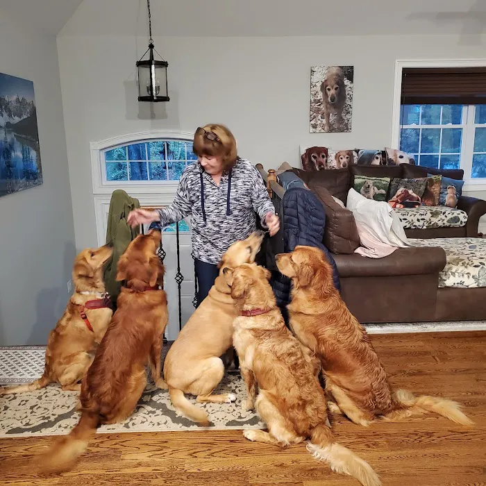 Mahopac Animal Hospital Picture 4