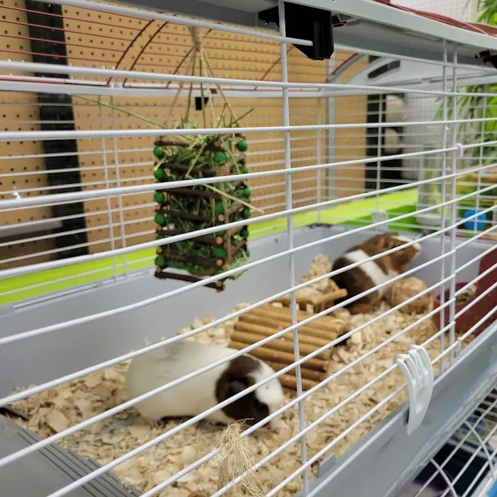 Coral Reef Pet Center Picture 5