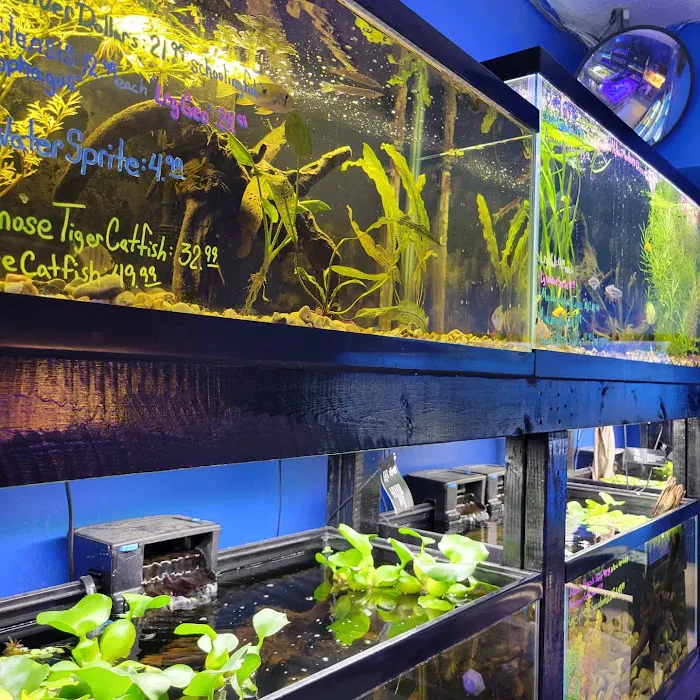 Coral Reef Pet Center Picture 10