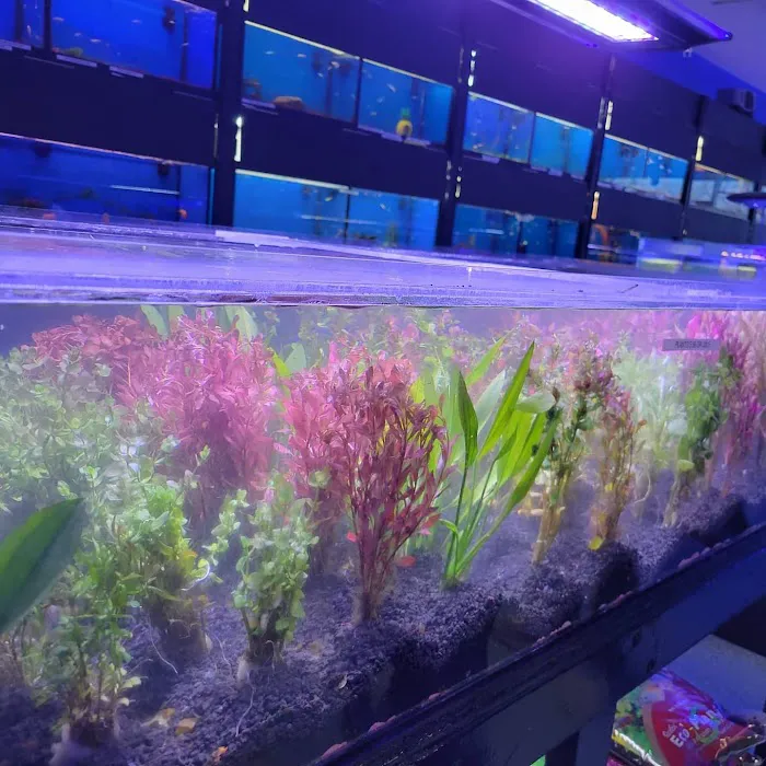 Coral Reef Pet Center Picture 9