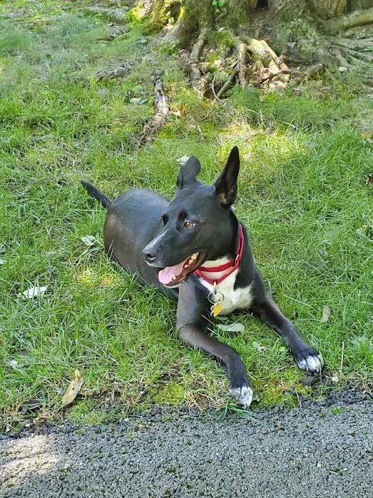 Lincolndale Veterinary Center Picture 4