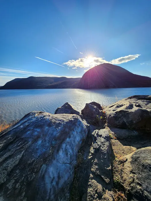 Lincolndale Veterinary Center Picture 6