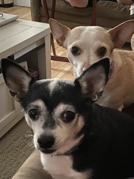 Lincolndale Veterinary Center Picture 7