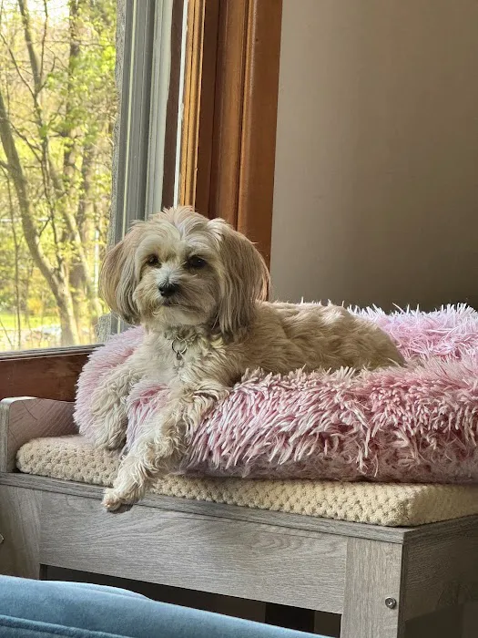 Lincolndale Veterinary Center Picture 8