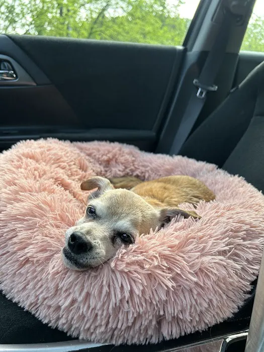 Lincolndale Veterinary Center Picture 9