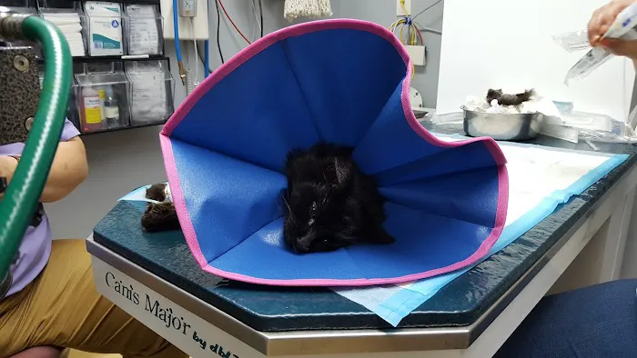 Animal Hospital of Cold Spring Picture 2