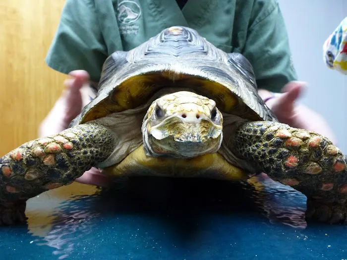 Animal Hospital of Cold Spring Picture 8