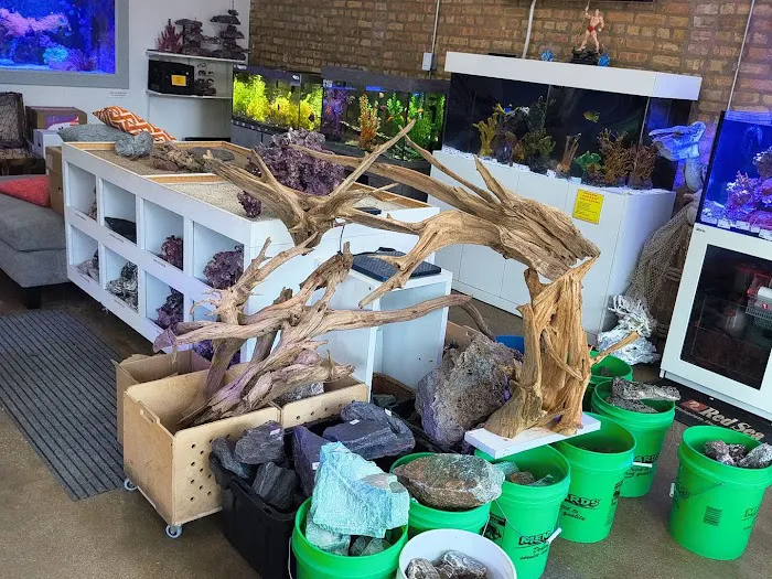 Old Town Aquarium Picture 2