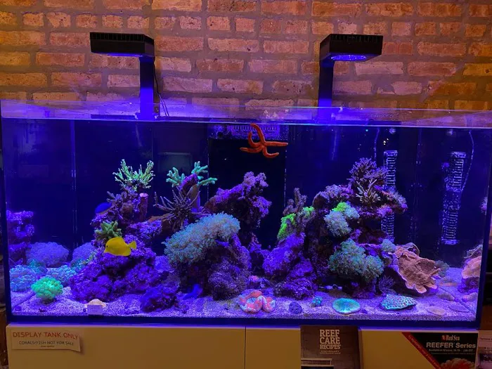 Old Town Aquarium Picture 3