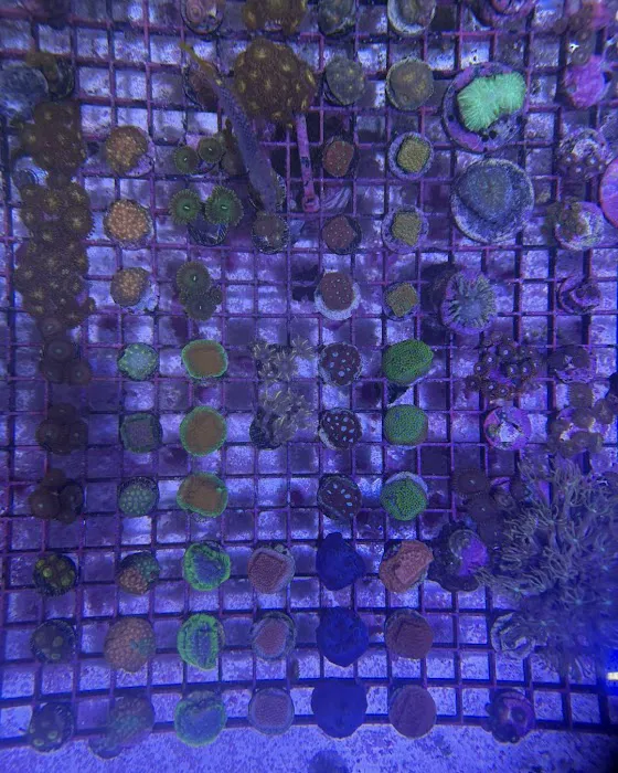 Old Town Aquarium Picture 7