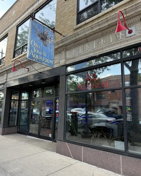 Old Town Aquarium Picture 5