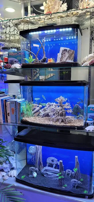 Old Town Aquarium Picture 1