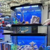 Old Town Aquarium ico
