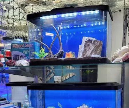 Old Town Aquarium