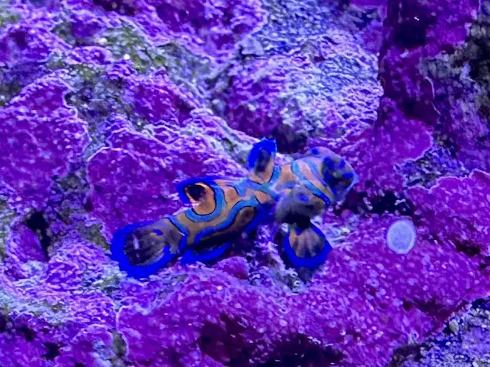 Old Town Aquarium Picture 10