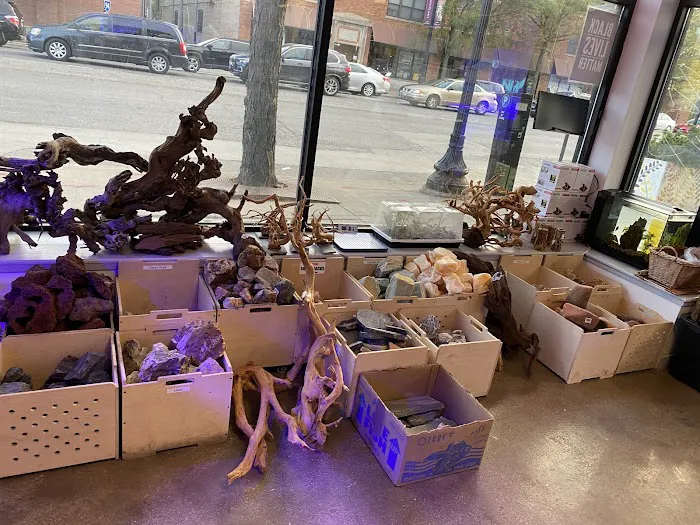 Old Town Aquarium Picture 8