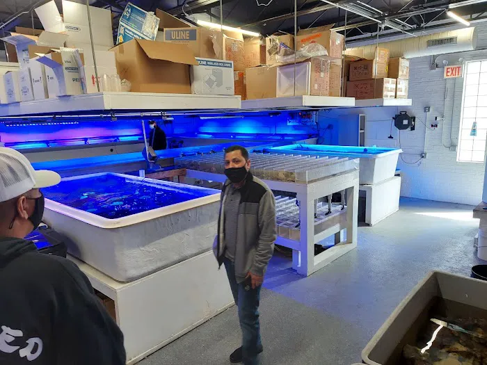 Tank It Easy Picture 5