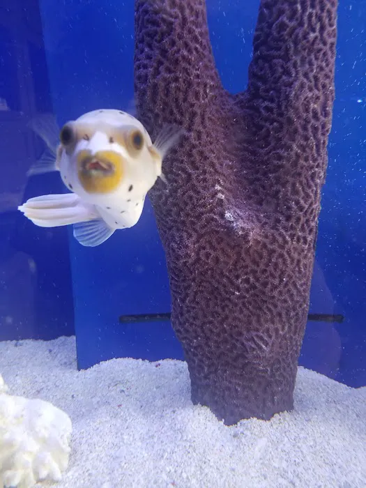 Tank It Easy Picture 1