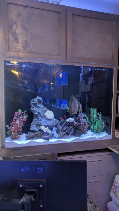 Tank It Easy Picture 2