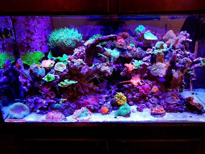 Tank It Easy Picture 7