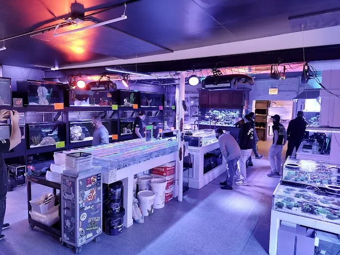 Tank It Easy Picture 8