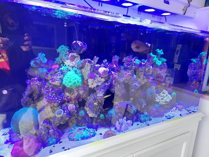 Tank It Easy Picture 6