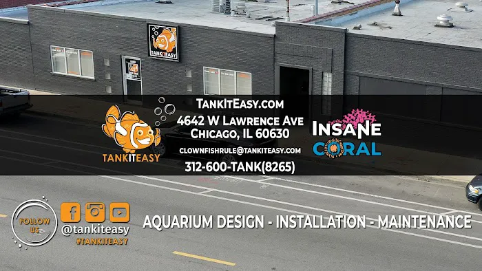 Tank It Easy Picture 10