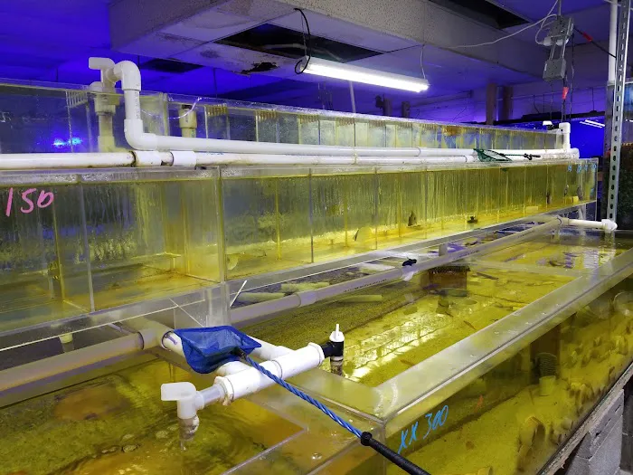 Ocean Reef's Den (ORD) Aquatics Picture 9