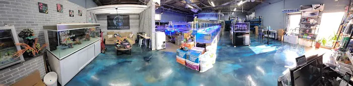 Ocean Reef's Den (ORD) Aquatics Picture 2