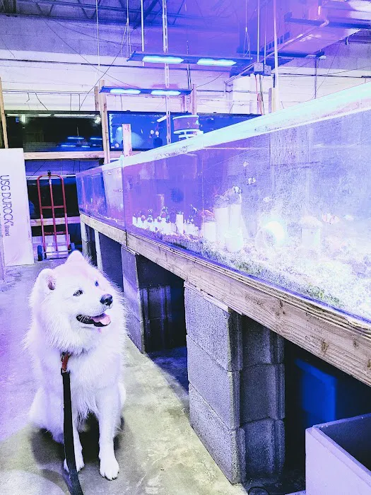 Ocean Reef's Den (ORD) Aquatics Picture 4