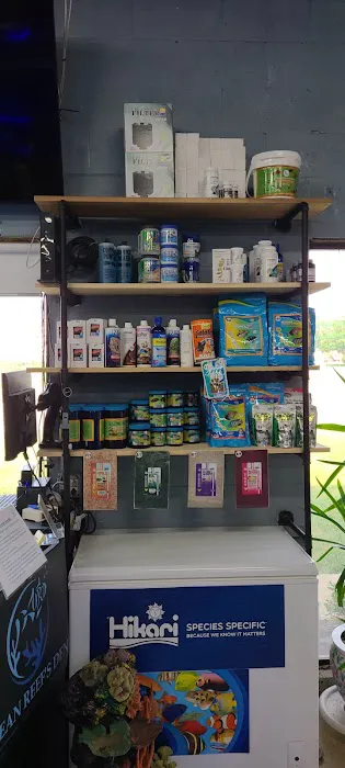 Ocean Reef's Den (ORD) Aquatics Picture 3