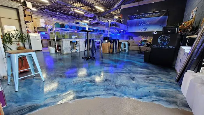 Ocean Reef's Den (ORD) Aquatics Picture 8