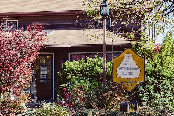 Main Street Veterinary Clinic Picture 6