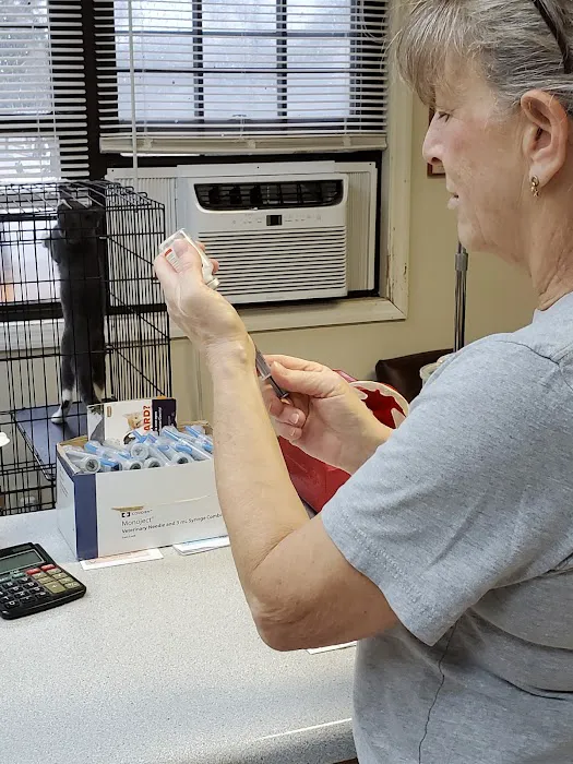 Main Street Veterinary Clinic Picture 5