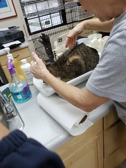 Main Street Veterinary Clinic Picture 8