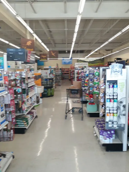 Petco Picture 3