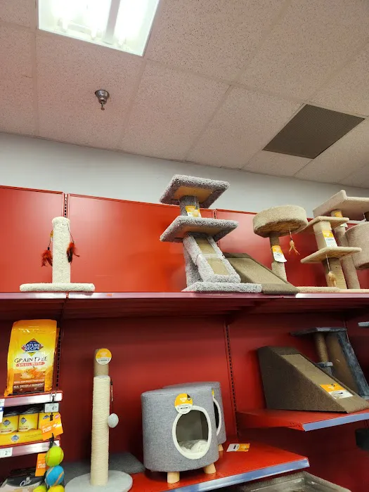 Petco Picture 1