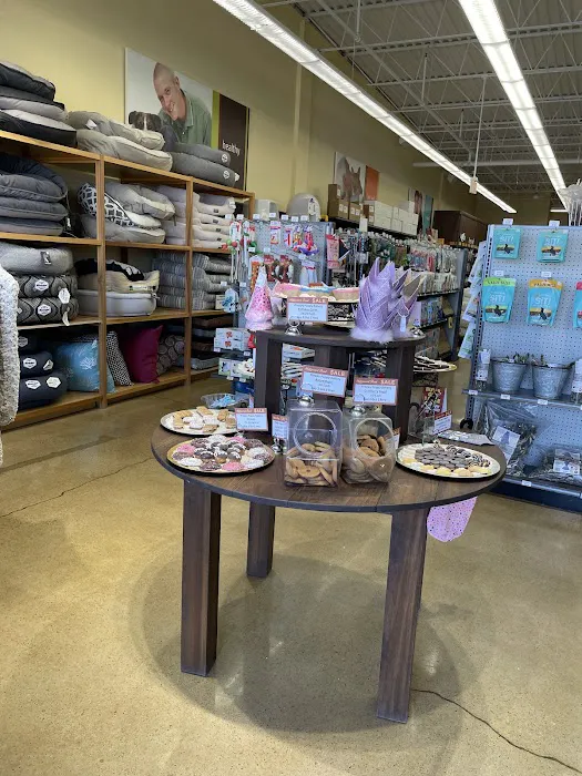 Hollywood Feed Picture 3