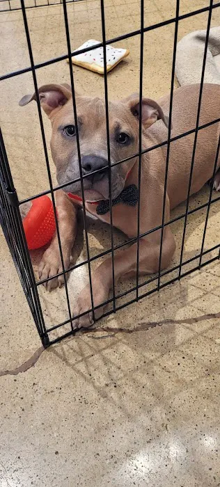 Hollywood Feed Picture 1