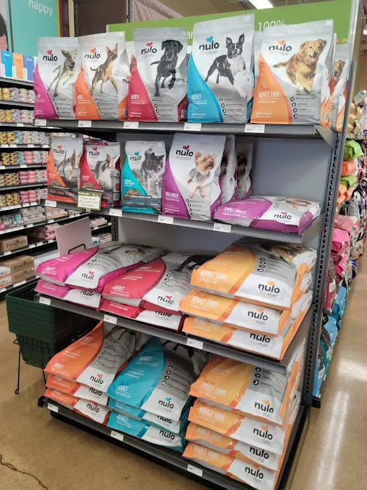 Hollywood Feed Picture 7