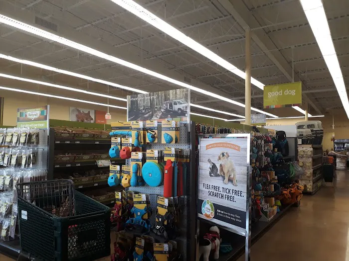 Hollywood Feed Picture 6