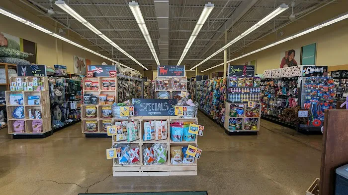 Hollywood Feed Picture 10