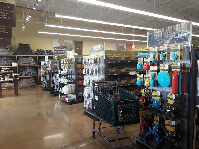 Hollywood Feed Picture 5