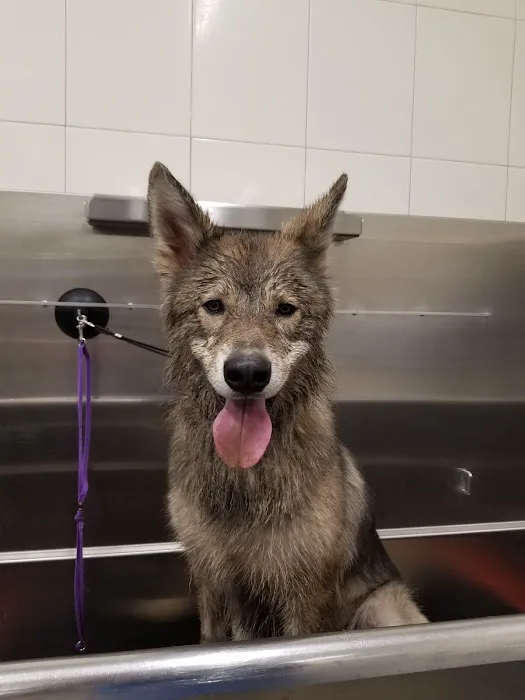 Hollywood Feed Picture 4